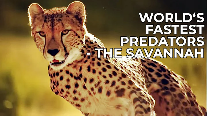 World's Fastest Predators | Episode 2: The Savannah | Free Documentary Nature