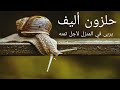 سر ارتفاع ثمن الحلزون الباهظ | العربية الوثائقية Documentary Arabic