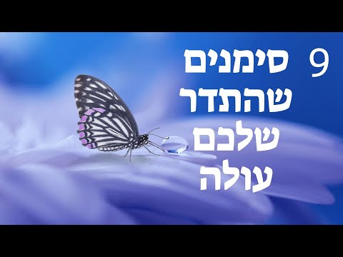 וִידֵאוֹ: כשאתה מתבייש באבותיך: איך כמעט כל האוכלוסייה הילידית נהרסה באוסטרליה