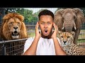 This kenya safari will blow your mind | massai mara 