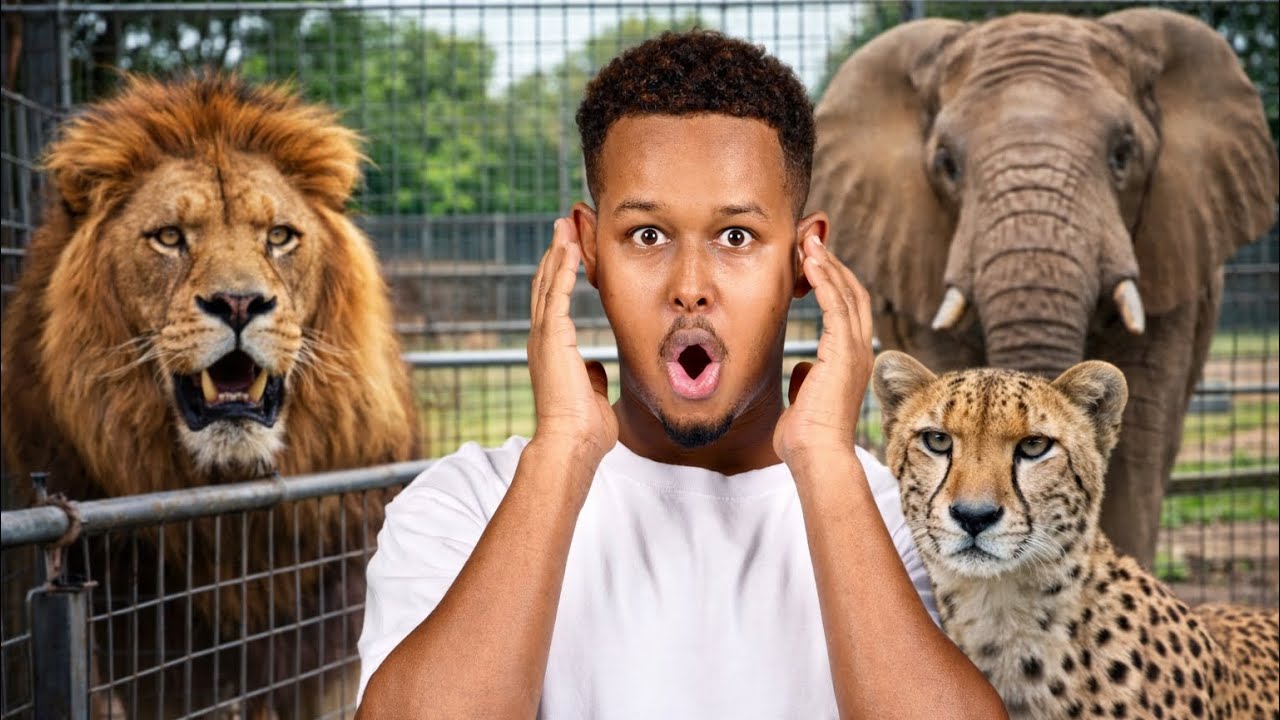 This kenya safari will blow your mind | massai mara 