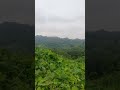 আল্লাহর উপর ভরসা! #sad #shortsviral