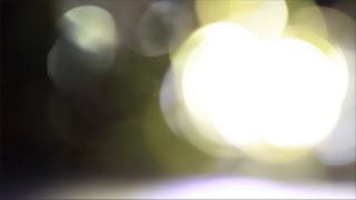 Light Leaks Element 307