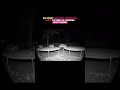Raccoons' Midnight Trampoline Party! #shorts #viral #trending #funny @MrBeast