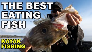 KAYAK FISHING: Exploring Langs Beach - Mangawhai, New Zealand screenshot 3