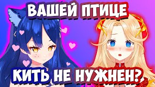 Подкаты Снежи к Ифрит