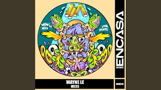 Mess - Wayne Le