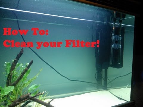 How To: EASILY clean an Aquarium Filter!