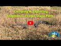 Camping &amp; Exploring Stephen C. Foster State Park | Boating the Okefenokee National Wildlife Refuge