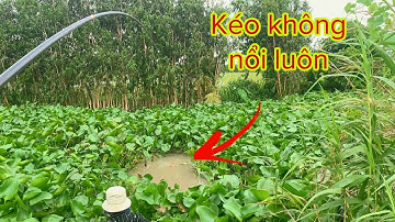 Móc Lỗ Câu Cá Tra Giải Trí - Gặp Phải Cá Bự Kéo Cần Và Cái Kết | Fishing - Miền Tây