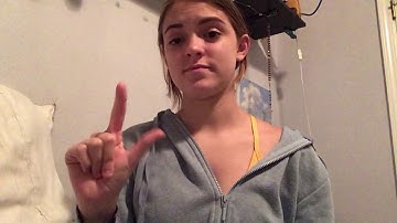 ASL 1 Assignment #3 Narrative