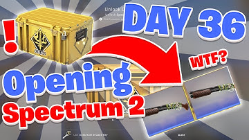 DAILY CS:GO CASE OPENING - SPECTRUM 2