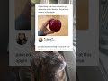 Someone stopped doomscrolling because a giant apple was too mesmerizing to scroll past #relatable