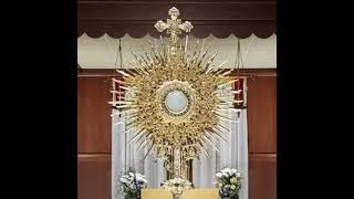 St. William Parish Live Stream