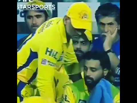 Thala dhoni whatsapp status