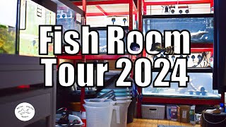 Fish Room Tour 2024 | Big Fish Little Fish Aquatics