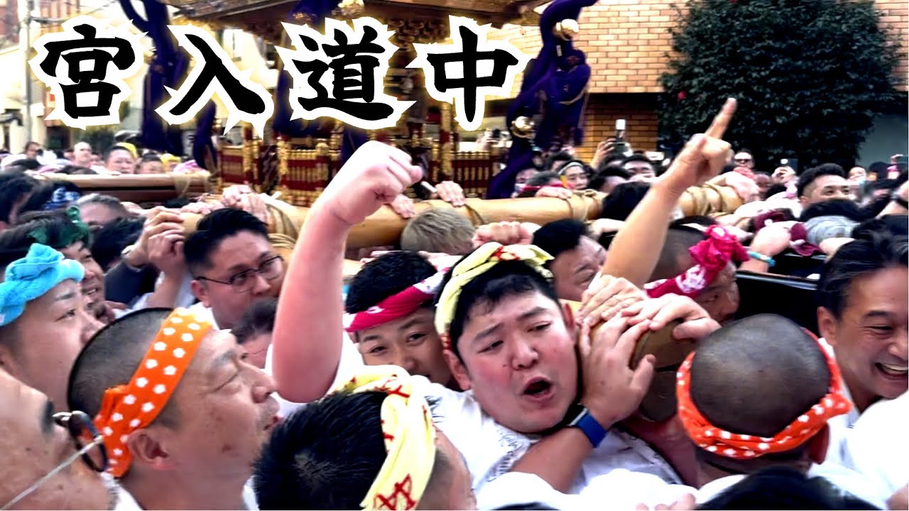 【宮入道中】2026 湯島天神梅祭り 神輿渡御⑧