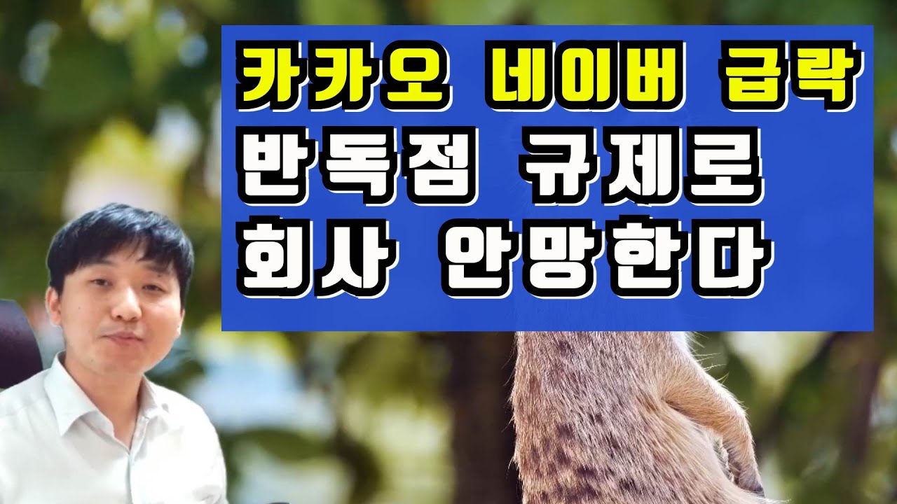 카카오네이버 급락 반독점규제로 회사 안망한다