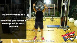 Standing Plate Raise