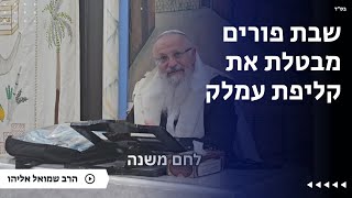 שבת פורים מבטלת את קליפת עמלק | הרב שמואל אליהו | הלכה יומית | י״א אדר תשפ״ה