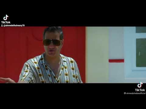 شيبه مصر فاضين ودماغغكم شغاله