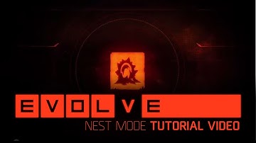 Evolve Tutorial Nest