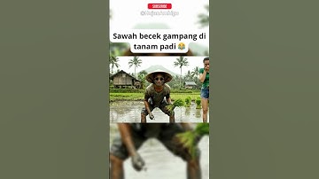 Becek Banget, Bibit Mudah Masuk 😆 #kakekhujan #lucu #kakekhujanvibes #memes #dialogambigu #funny