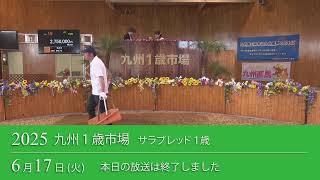 2025 九州一歳市場 生中継