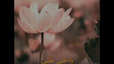 "يا أيتها النفس المطمئنة"💔-تلاوة حزينة القارئ |أحمد النفيس|🎙️🎧