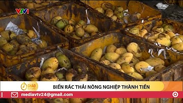 Biến rác thải nông nghiệp thành tiền | VTV24