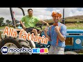 Impariamo a mangiare sano con Blippi | BLIPPI per bambini | Moonbug Kids - Cartoni Animati