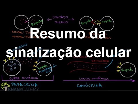 Vídeo: Diferença Entre Sinalização Intracelular E Intercelular