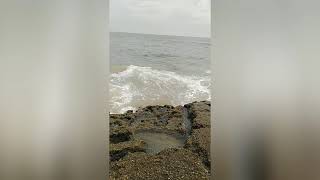 شاطئ تغازوت⛱️ plage de taghazout