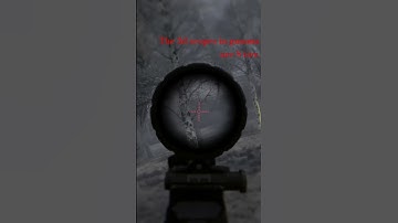 stalker plays like a modern shooter now #stalkeranomaly #stalkergamma #gaming #letsplay #fps