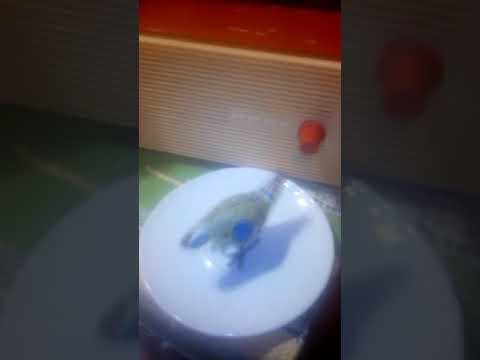 Полное блюдце секретов