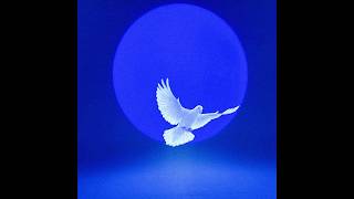 FREE Tory Lanez x Drake Type Beat "SIGNS FROM HEAVEN" @imregii