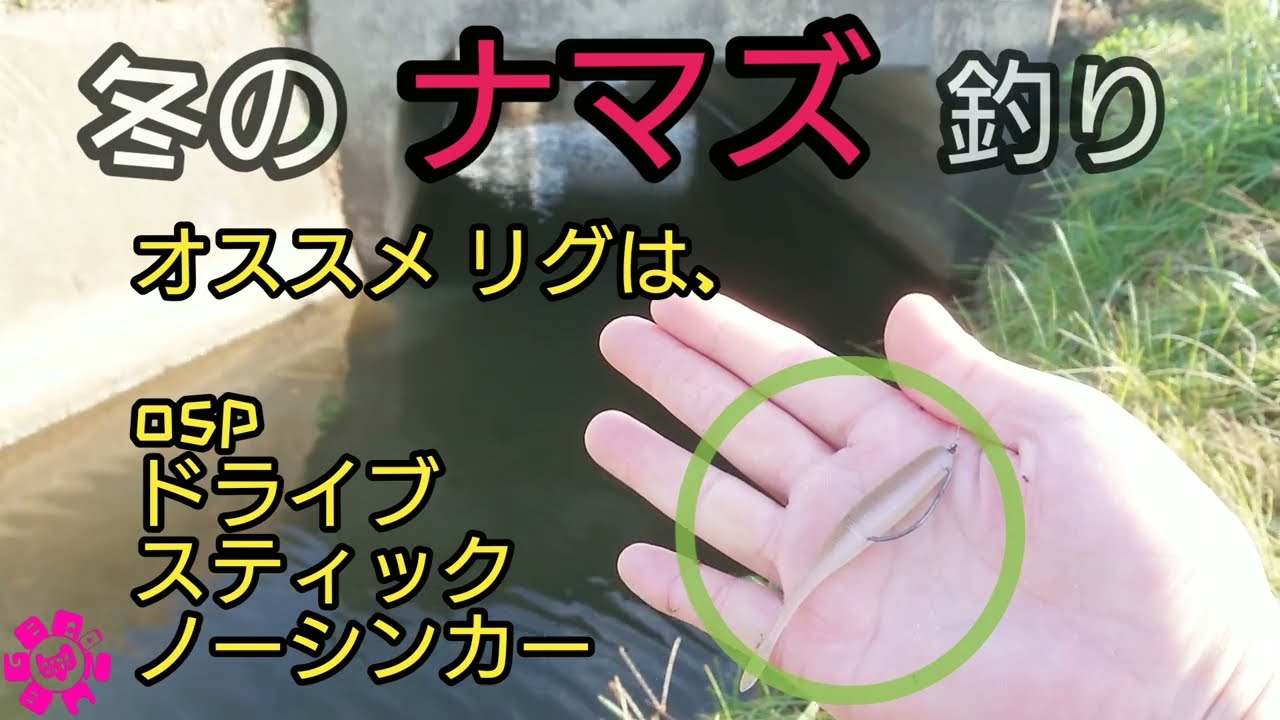 ﾅﾏｽﾞ釣り 冬の水路 ﾄﾞﾗｲﾌﾞｽﾃｨｯｸ 3ｲﾝﾁ Osp ﾉｰｼﾝｶｰ ｵｽｽﾒﾜｰﾑ Youtube