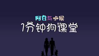 1分鐘狗課堂 | 第4堂 狗改不了吃屎嗎？