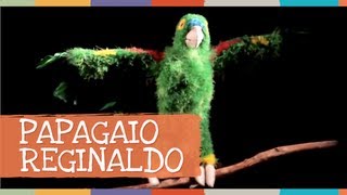 Palavra Cantada | Papagaio Reginaldo