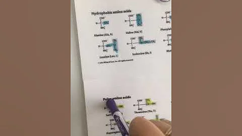 Amino acid identification