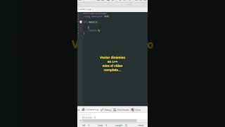Vector Dinámico en C++