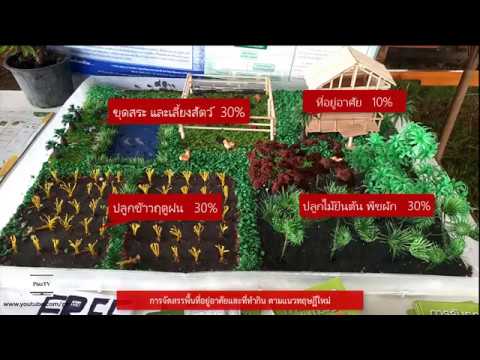 ทฤษฏีใหม่ "30 30 30 10" | แนวทางพระราชดำริ