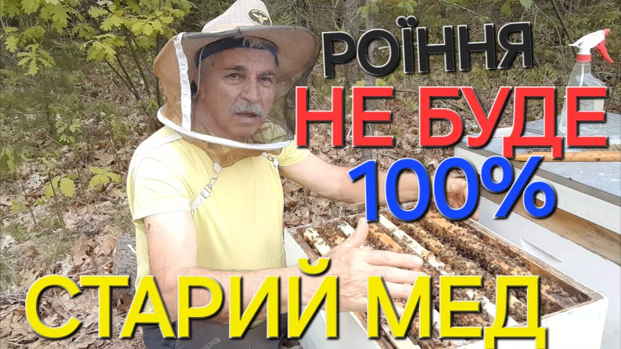 #бджоли Забутий протиройовий метод. Як позбутися роїння???