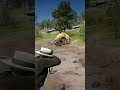 Survival Skill in Red Dead Redemption 2 P1243 #rdr2 #survivaltips #gamingshorts #gaming #shorts