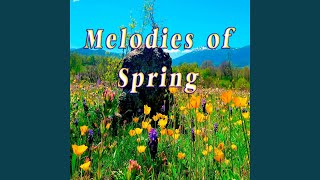 Enchanted Spring Forest Sounds