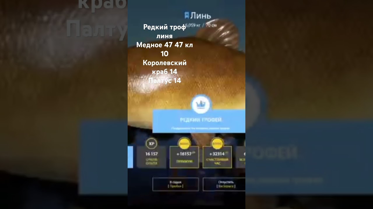 Варм на медном русская рыбалка 4 редкий трофей линя 