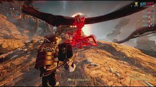 Random Warframe bugs