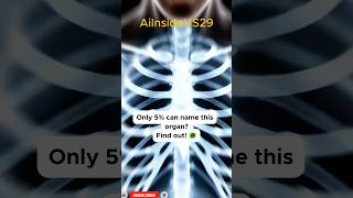 Can You Name This Organ? 🩺 Human Body Anatomy Quiz