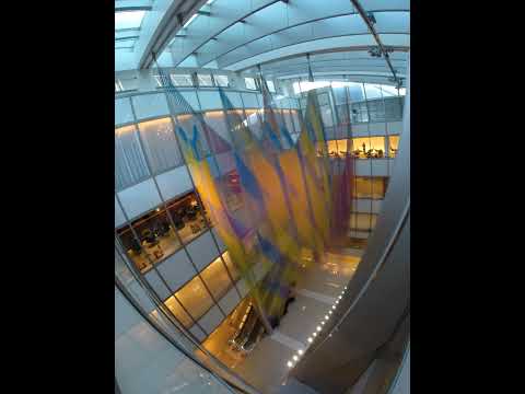 Benjamin Ball Air Garden Time Lapse