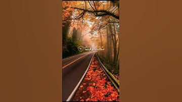 #اكسبلور #المصحف قرآن كريم #راحة_نفسية #الرحمن #لايك